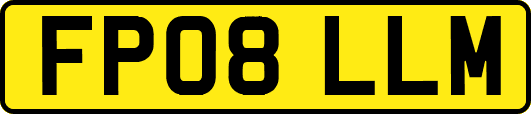 FP08LLM