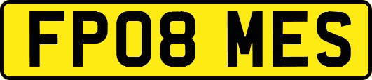 FP08MES