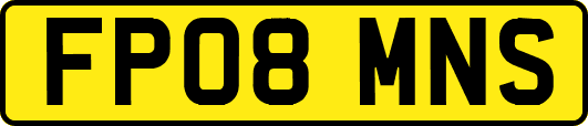 FP08MNS