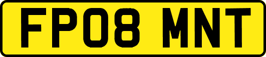 FP08MNT