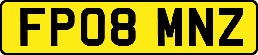 FP08MNZ