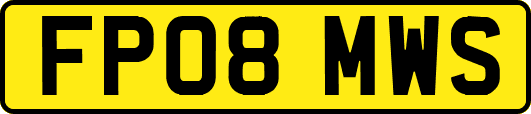 FP08MWS
