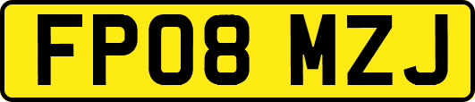 FP08MZJ