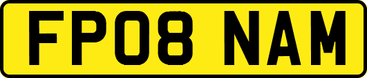FP08NAM