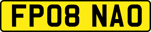 FP08NAO