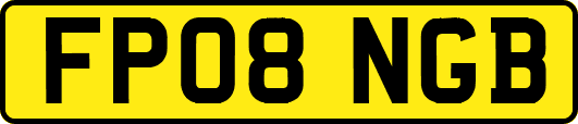 FP08NGB