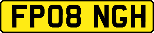 FP08NGH