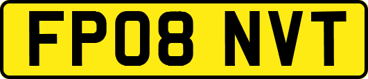 FP08NVT