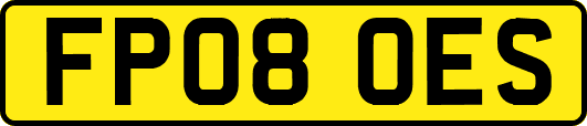 FP08OES