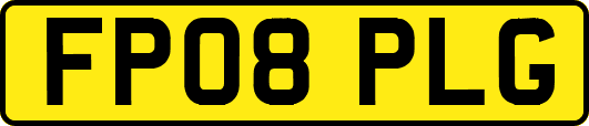 FP08PLG