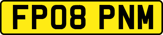 FP08PNM