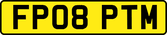 FP08PTM