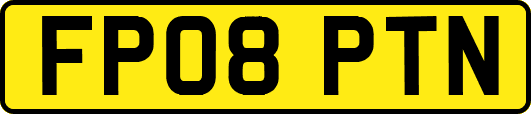 FP08PTN