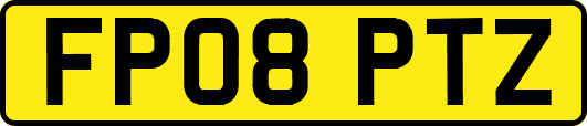 FP08PTZ