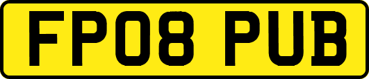 FP08PUB