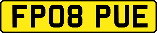 FP08PUE