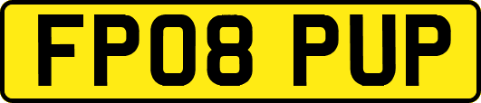 FP08PUP