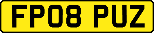 FP08PUZ