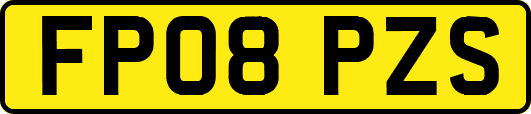 FP08PZS