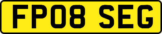 FP08SEG