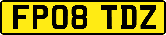 FP08TDZ