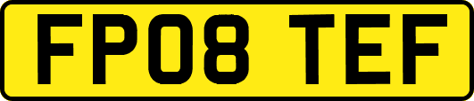 FP08TEF