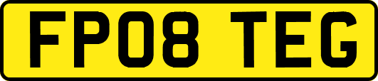 FP08TEG
