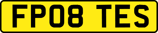FP08TES