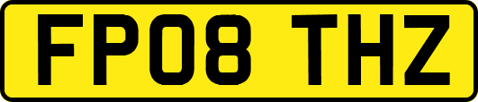 FP08THZ