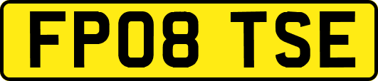 FP08TSE