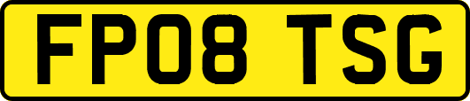 FP08TSG