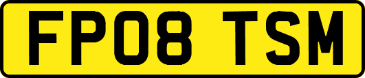 FP08TSM