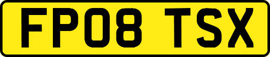 FP08TSX
