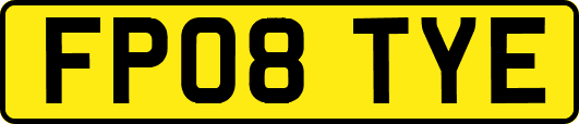 FP08TYE