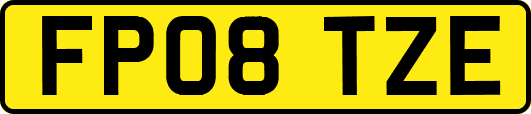 FP08TZE