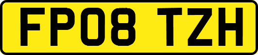 FP08TZH