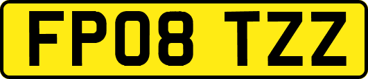 FP08TZZ