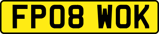 FP08WOK