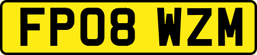 FP08WZM