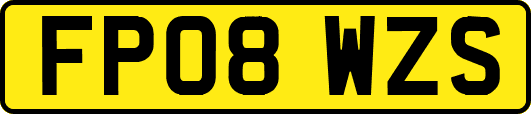 FP08WZS