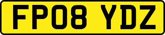 FP08YDZ
