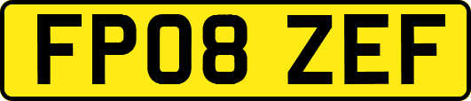 FP08ZEF