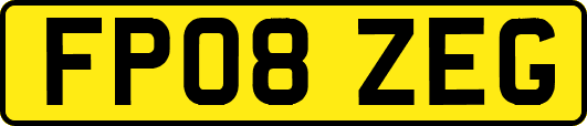 FP08ZEG