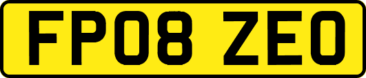 FP08ZEO