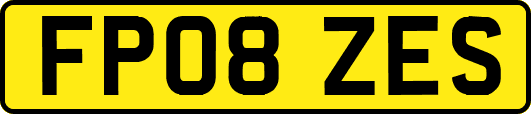 FP08ZES
