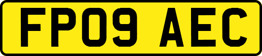 FP09AEC