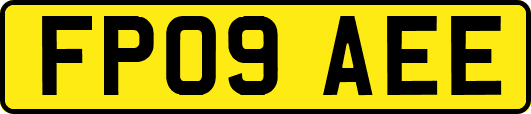 FP09AEE