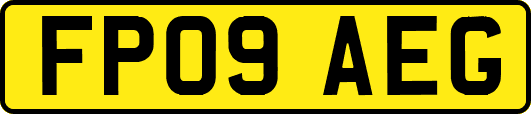 FP09AEG