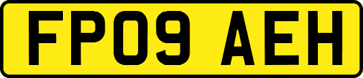 FP09AEH