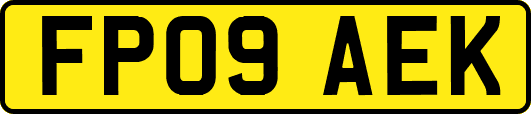 FP09AEK